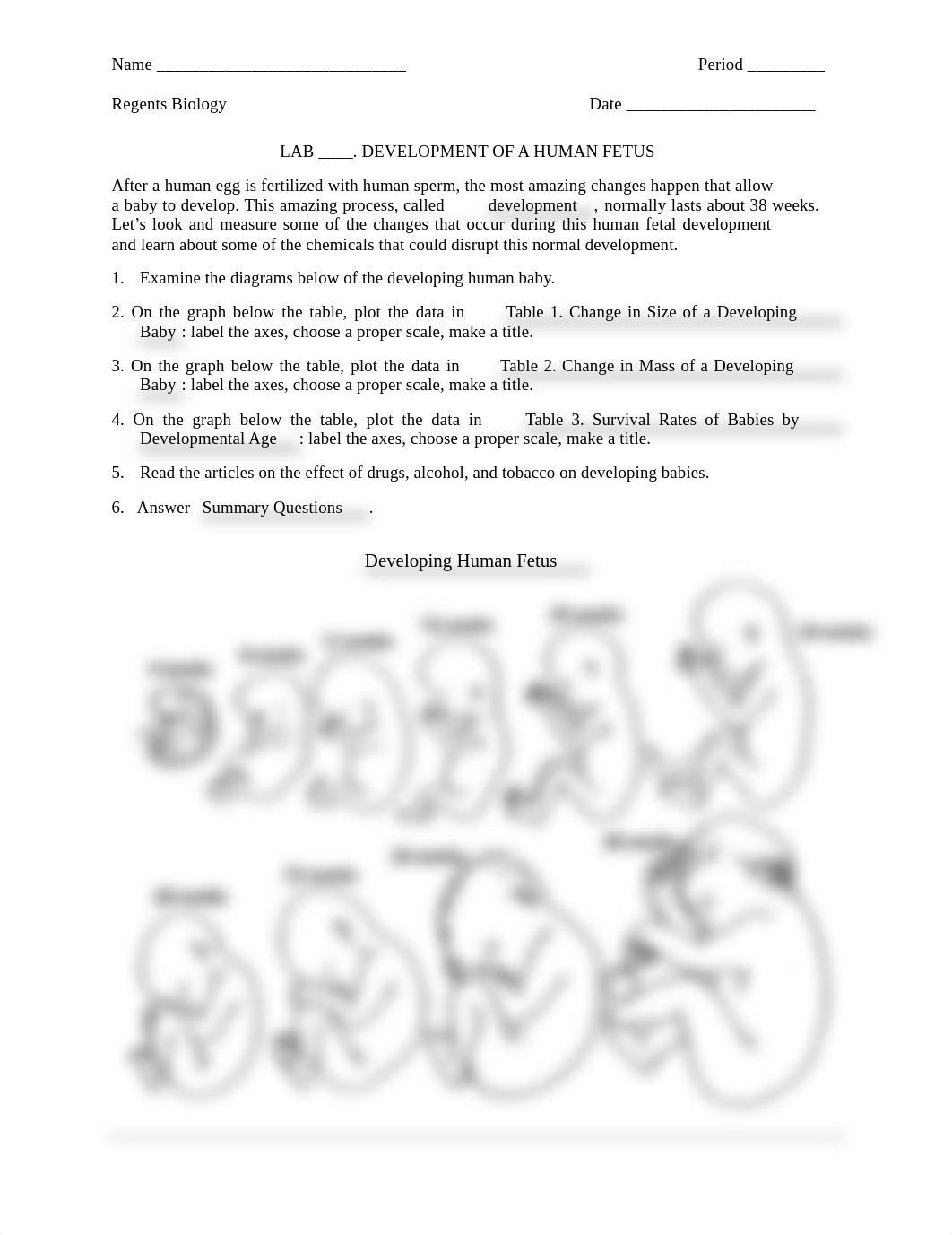 Lab27FetalDevelopment2009.pdf_dg401f6vh78_page1