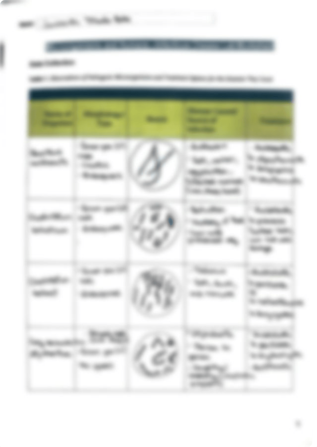 Infectious Disease Lab Worksheet.pdf_dg44owylqh7_page1