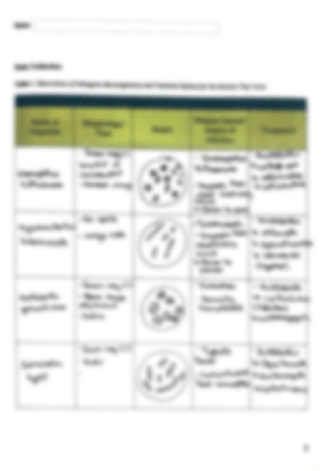 Infectious Disease Lab Worksheet.pdf_dg44owylqh7_page2