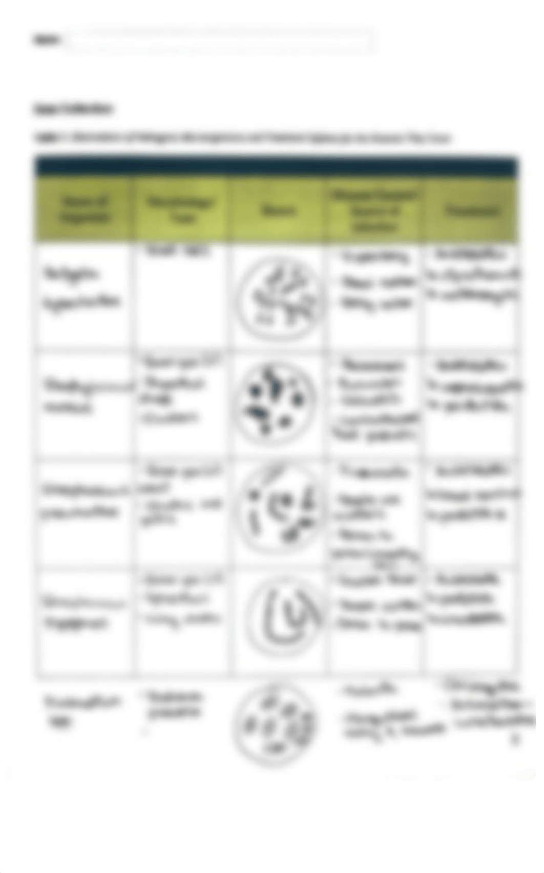 Infectious Disease Lab Worksheet.pdf_dg44owylqh7_page3