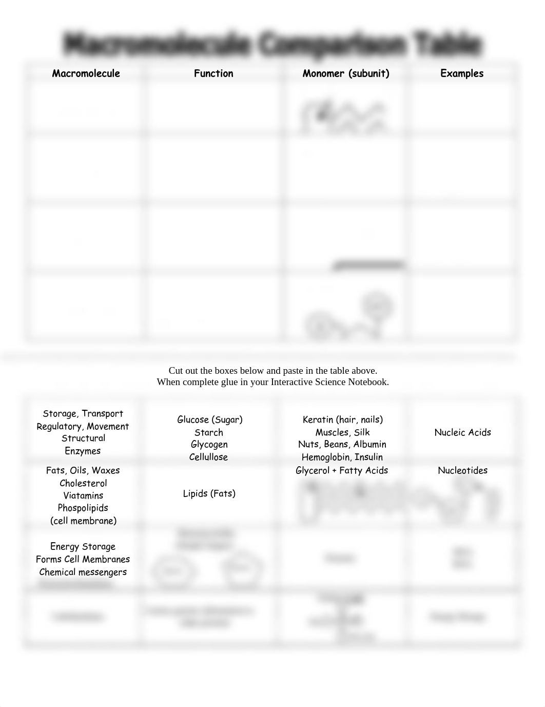 Macromolecule_Comparison_Table_Key.pdf_dg48i0x5via_page1