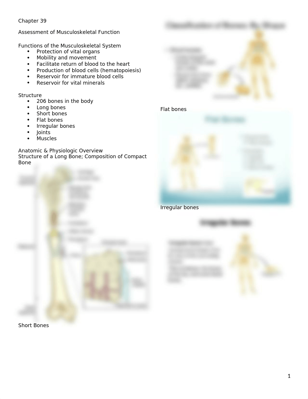 Ch39-42PPT.docx_dg49iqecgq7_page1