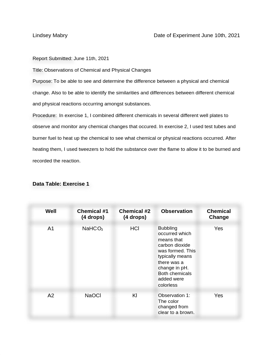 Exp 1 Observations of Chemical and Physical Changes Lab Report.docx_dg4io8vmksq_page1