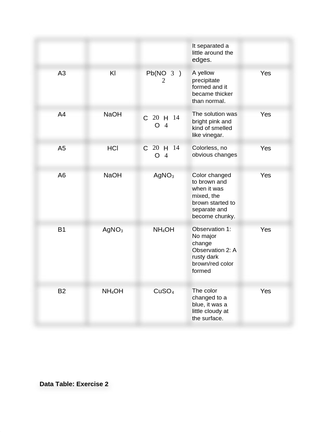 Exp 1 Observations of Chemical and Physical Changes Lab Report.docx_dg4io8vmksq_page2