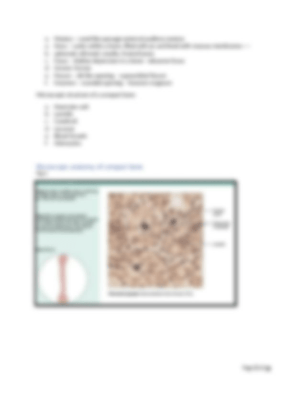 Lab handout week 4 Axial skeleton .docx_dg4mbxttdbf_page2