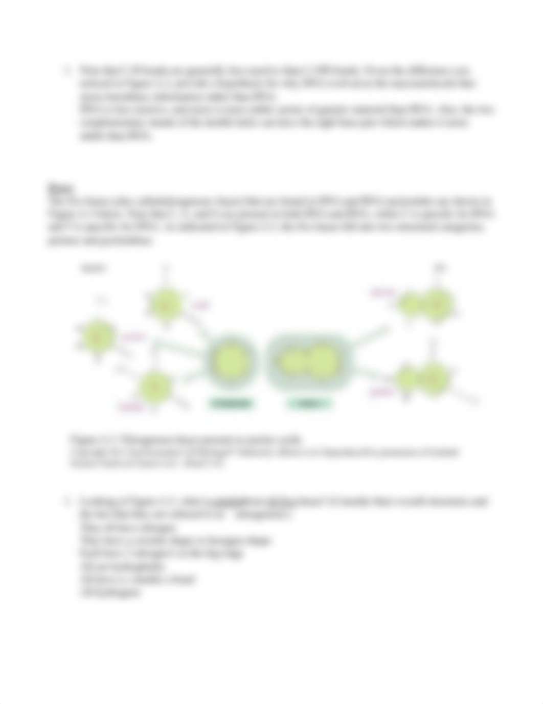 Assignment 3_DNA and RNA Structure.docx_dg4pg45mlcz_page2