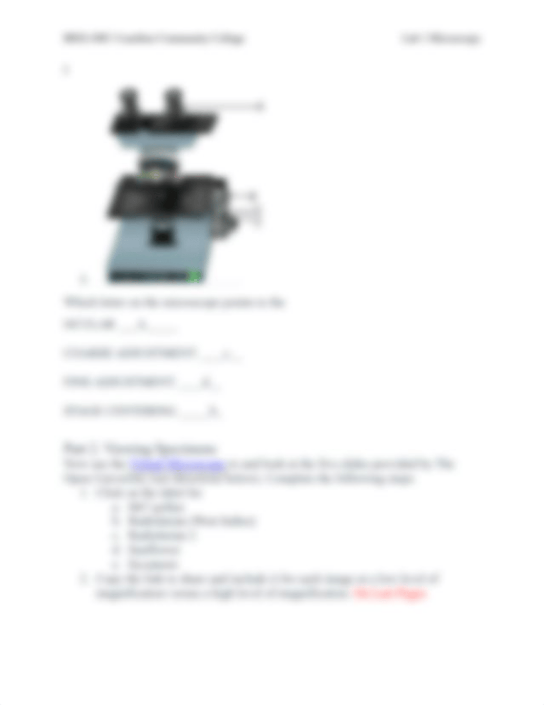 Microscope Lab.docx.pdf_dg4pwzzth0u_page3