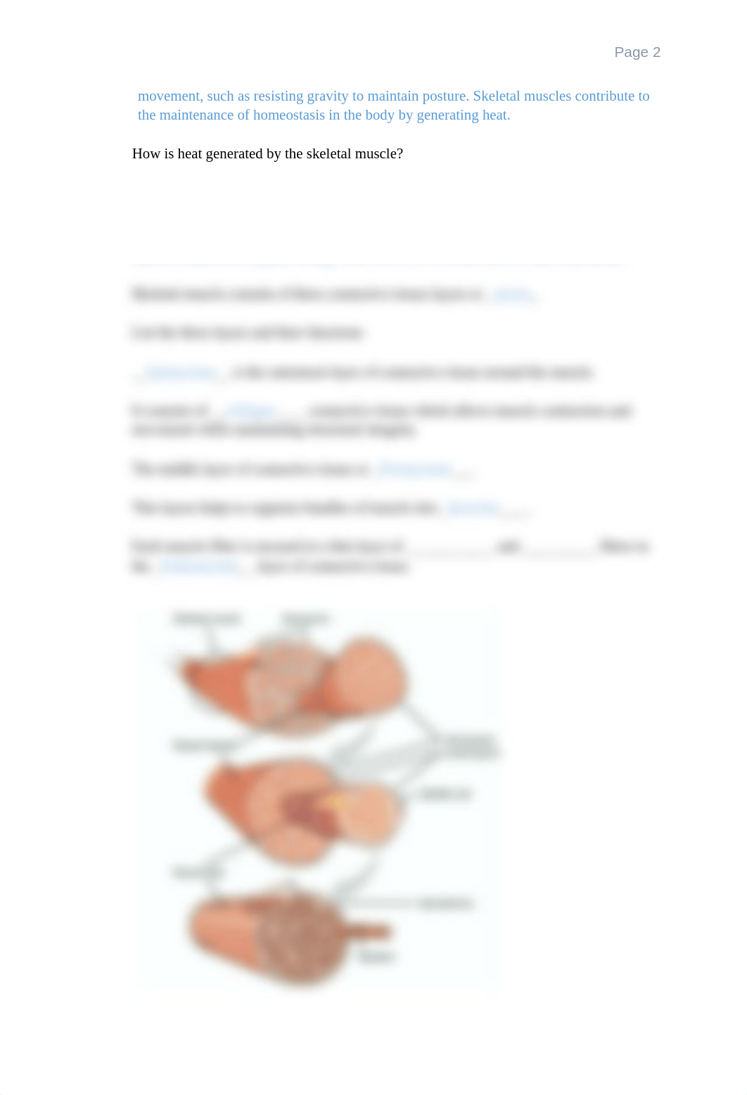 BIO 201 Chapter 10 Muscle tissue OPS.docx_dg4svaoqjg1_page2