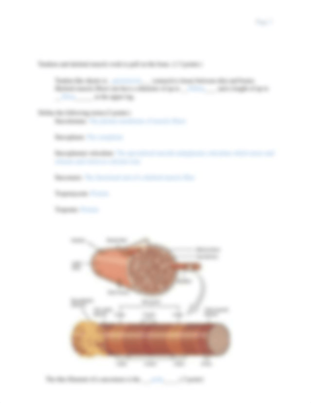 BIO 201 Chapter 10 Muscle tissue OPS.docx_dg4svaoqjg1_page3