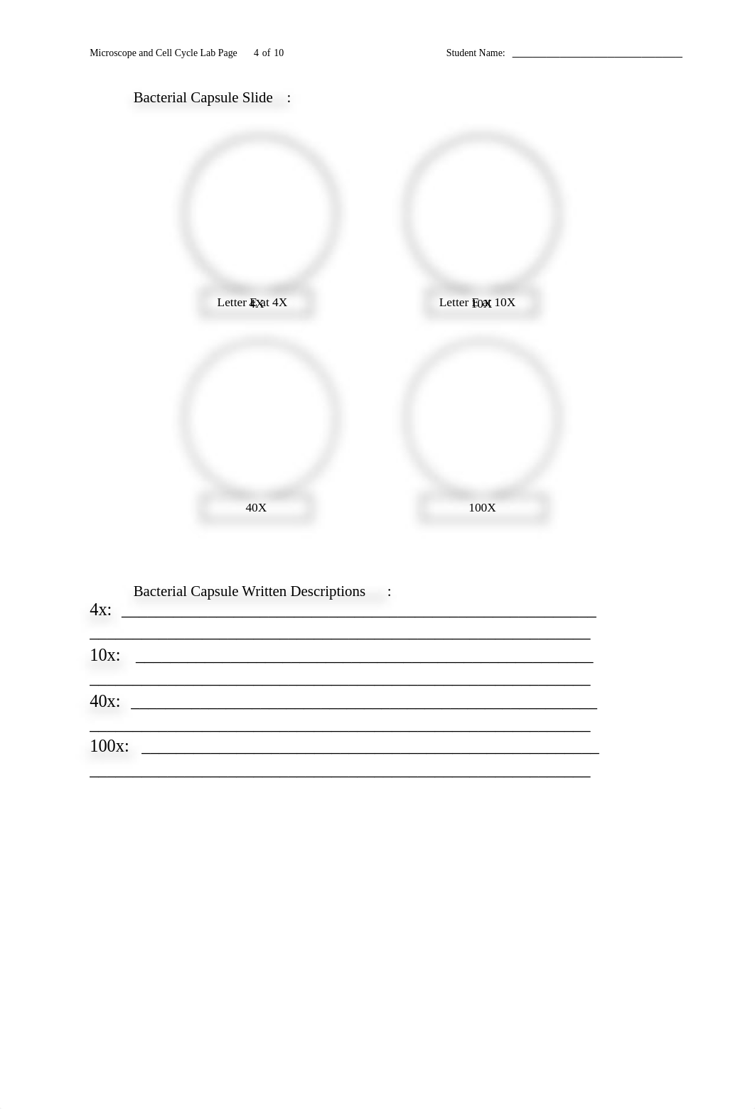 Lab Reports 2 and 3 - Microscopes and Cell Cycle.docx_dg4vaqdzgzc_page4