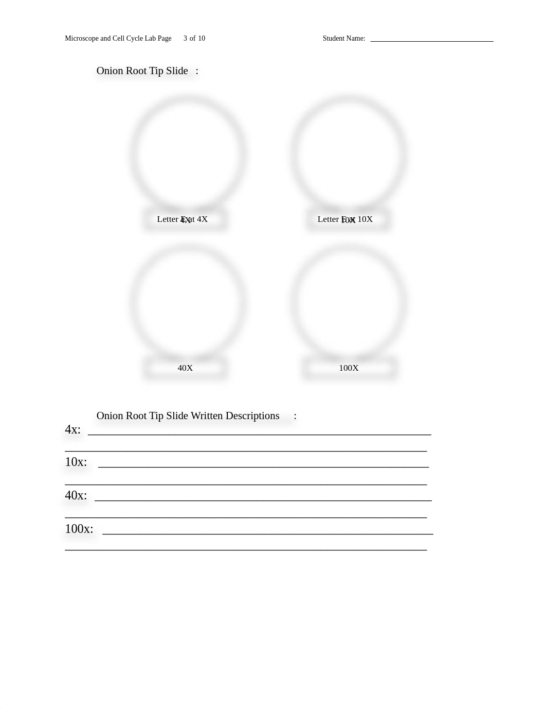 Lab Reports 2 and 3 - Microscopes and Cell Cycle.docx_dg4vaqdzgzc_page3