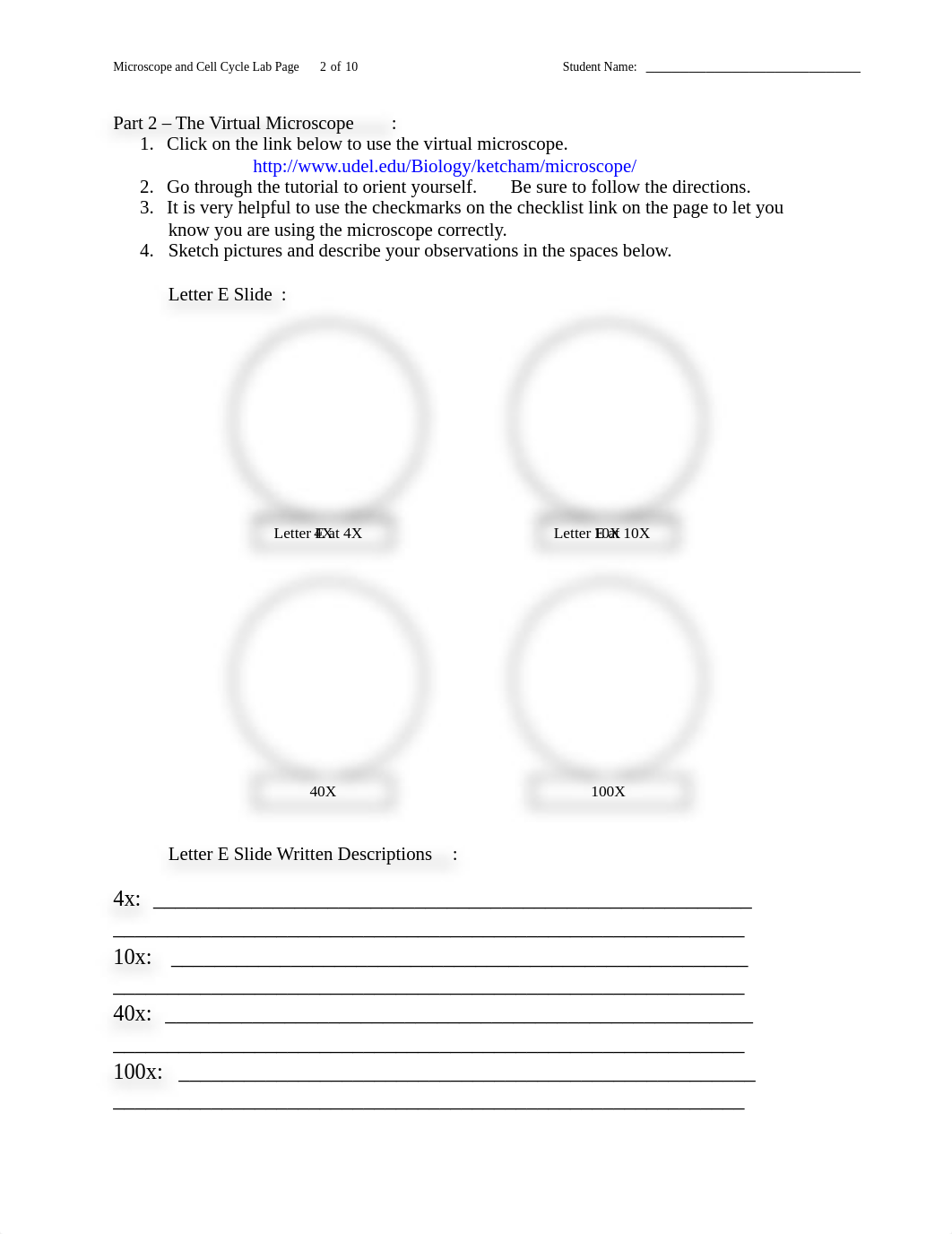 Lab Reports 2 and 3 - Microscopes and Cell Cycle.docx_dg4vaqdzgzc_page2