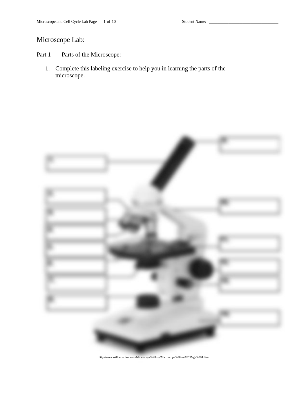 Lab Reports 2 and 3 - Microscopes and Cell Cycle.docx_dg4vaqdzgzc_page1