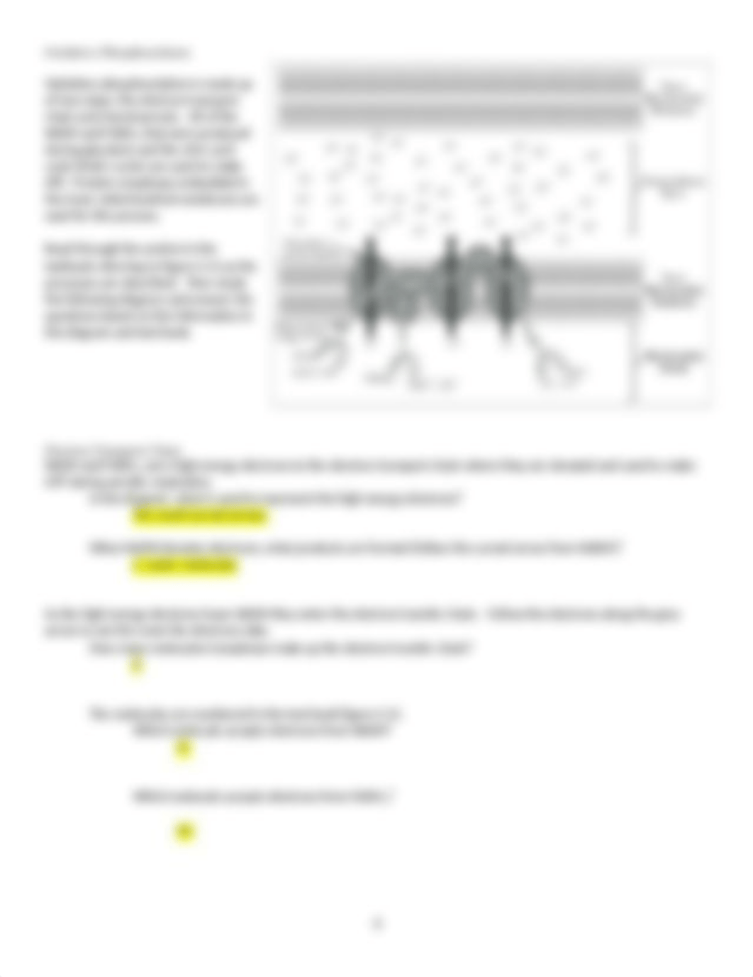 Chapter 4B Worksheet OpenStax.docx_dg53s7zeiub_page4