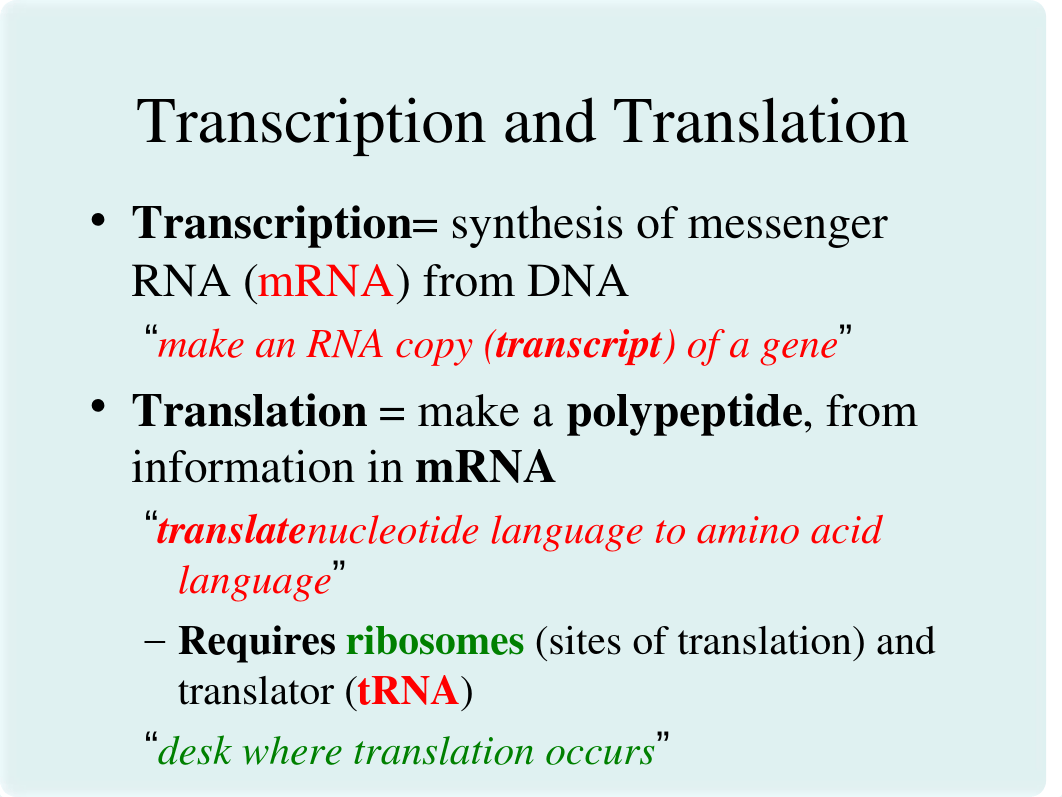 Gene to Protein_dg57830vea6_page4