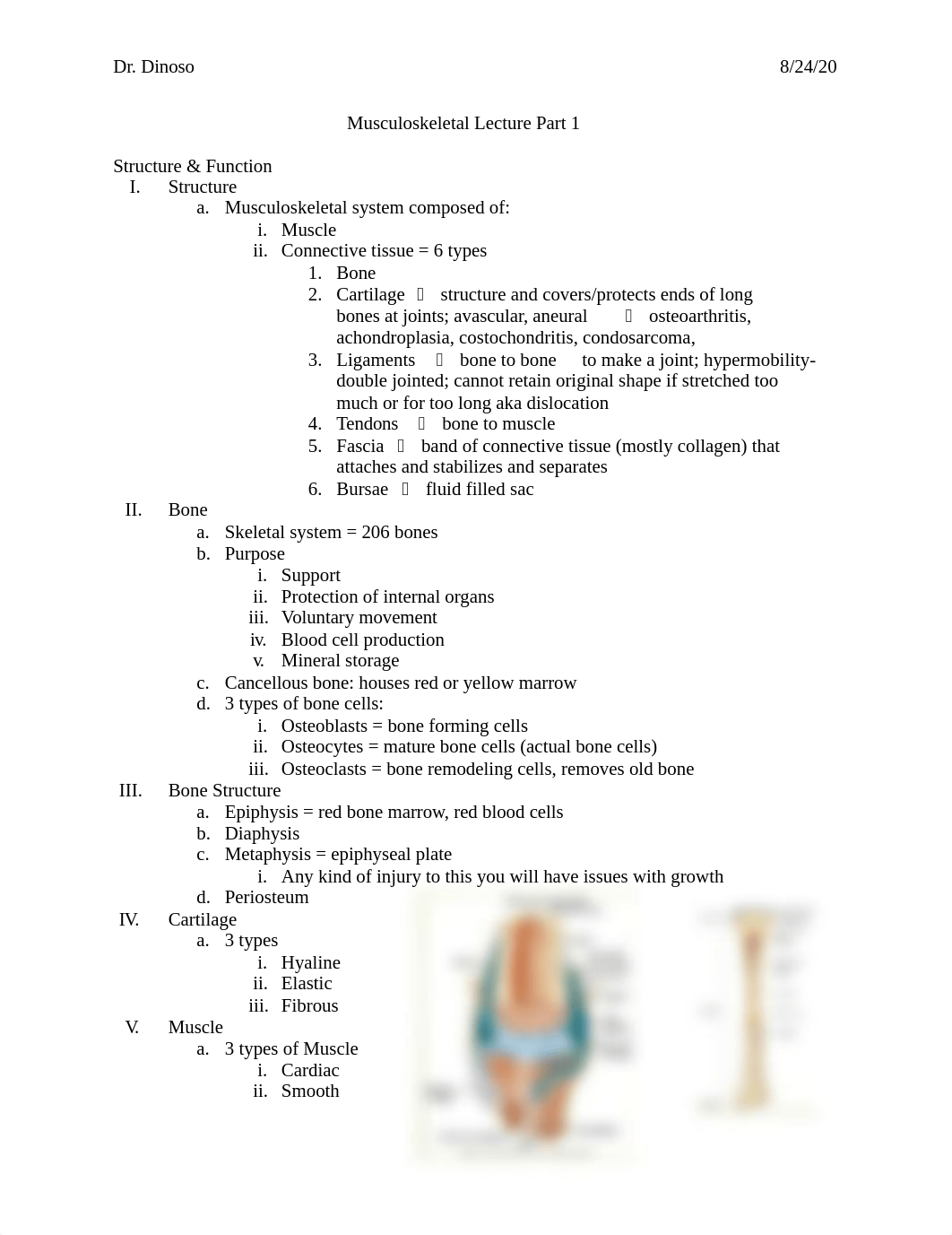 Musculoskeletal .docx_dg5fn6tuwwk_page1