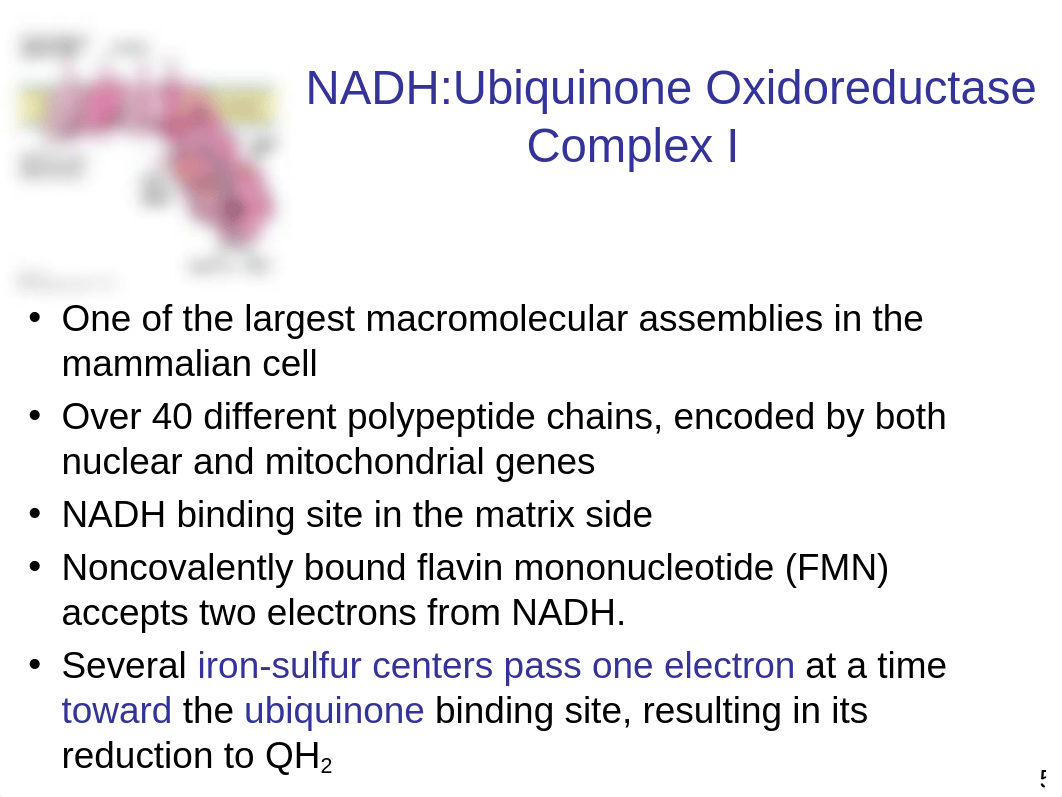 BIOC302 test two.ppt_dg5stlrfd0c_page5