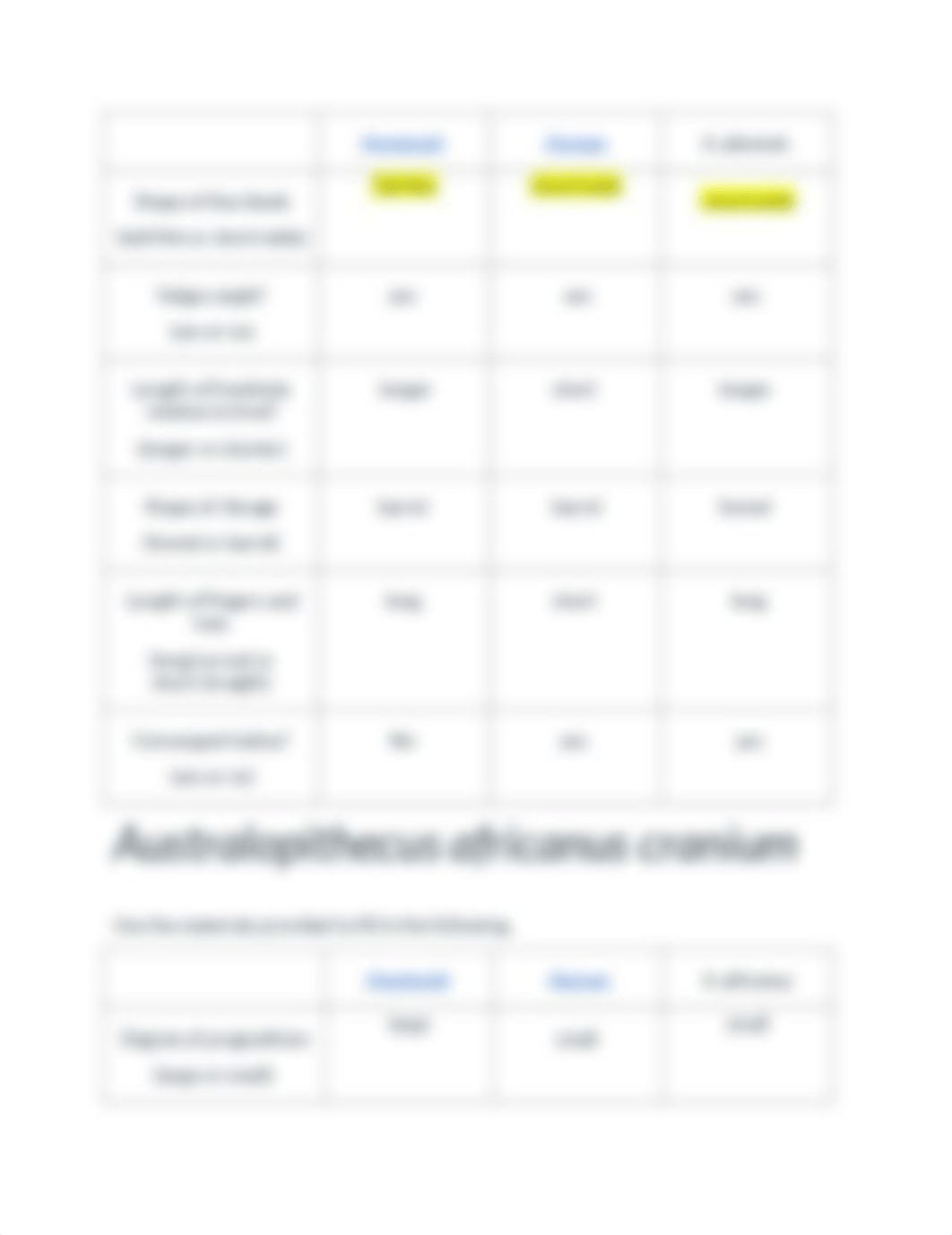 Early_Human_Evolution_Worksheet_dg5zt5qd2y3_page4