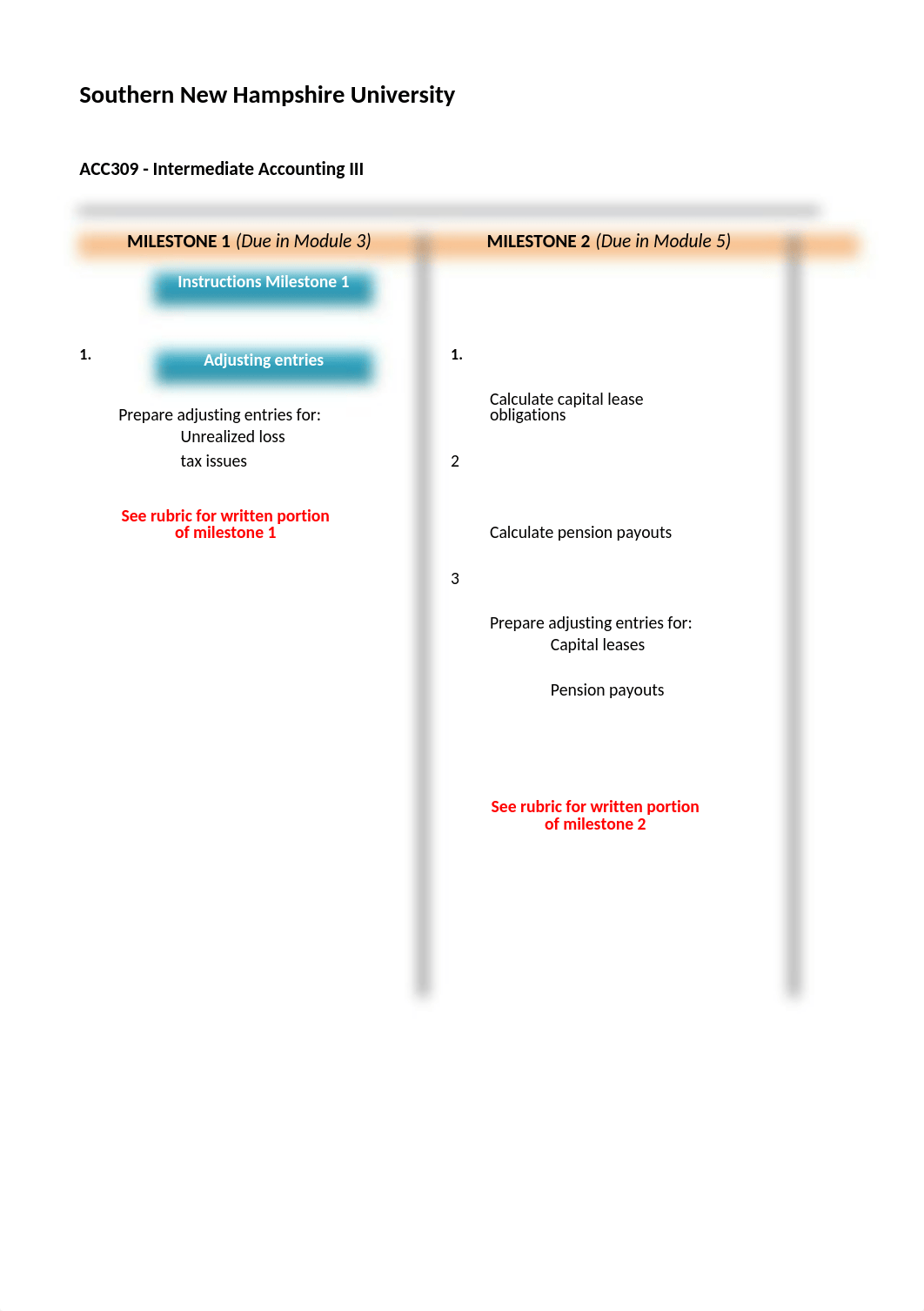 ACC 309 Final Project  Student Workbook Milestone 3.xlsx_dg66t6eank8_page1