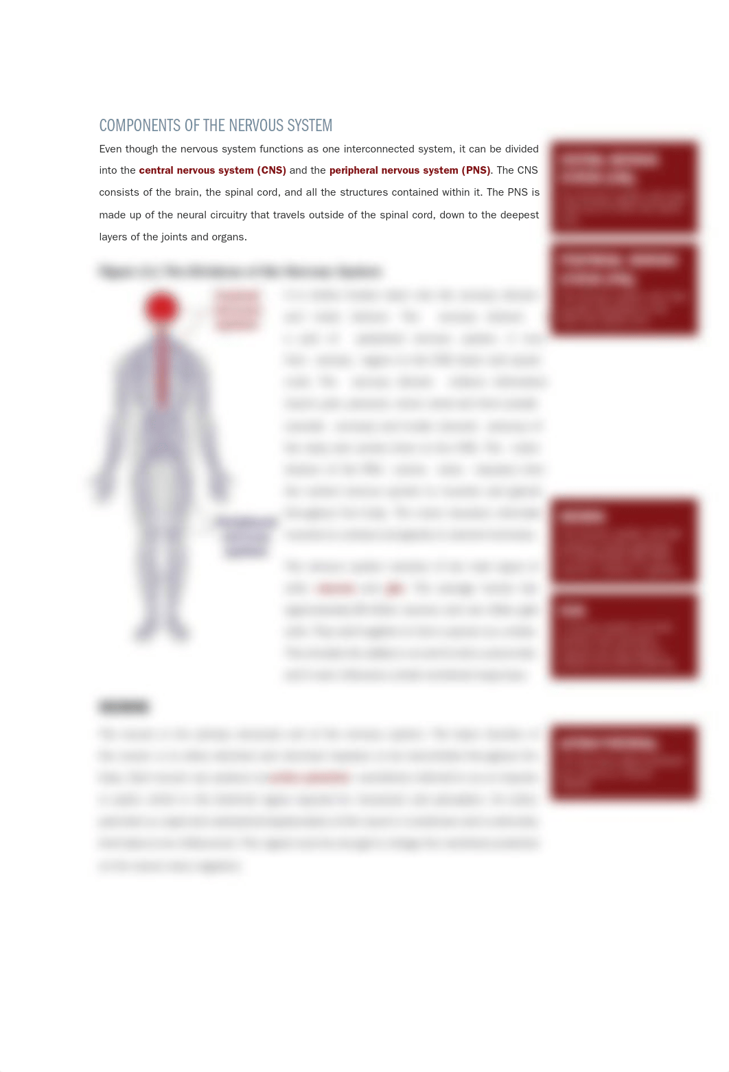 ISSA-Strength-and-Conditioning-The-Nervous-System.pdf_dg69ad3tcbh_page3