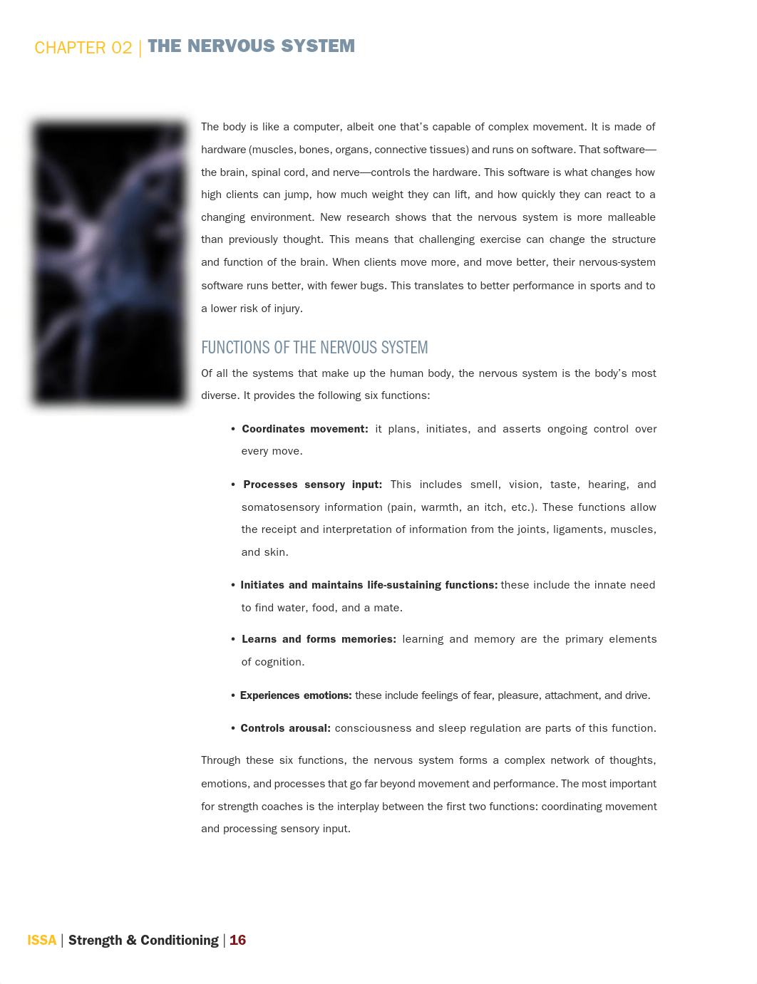 ISSA-Strength-and-Conditioning-The-Nervous-System.pdf_dg69ad3tcbh_page2