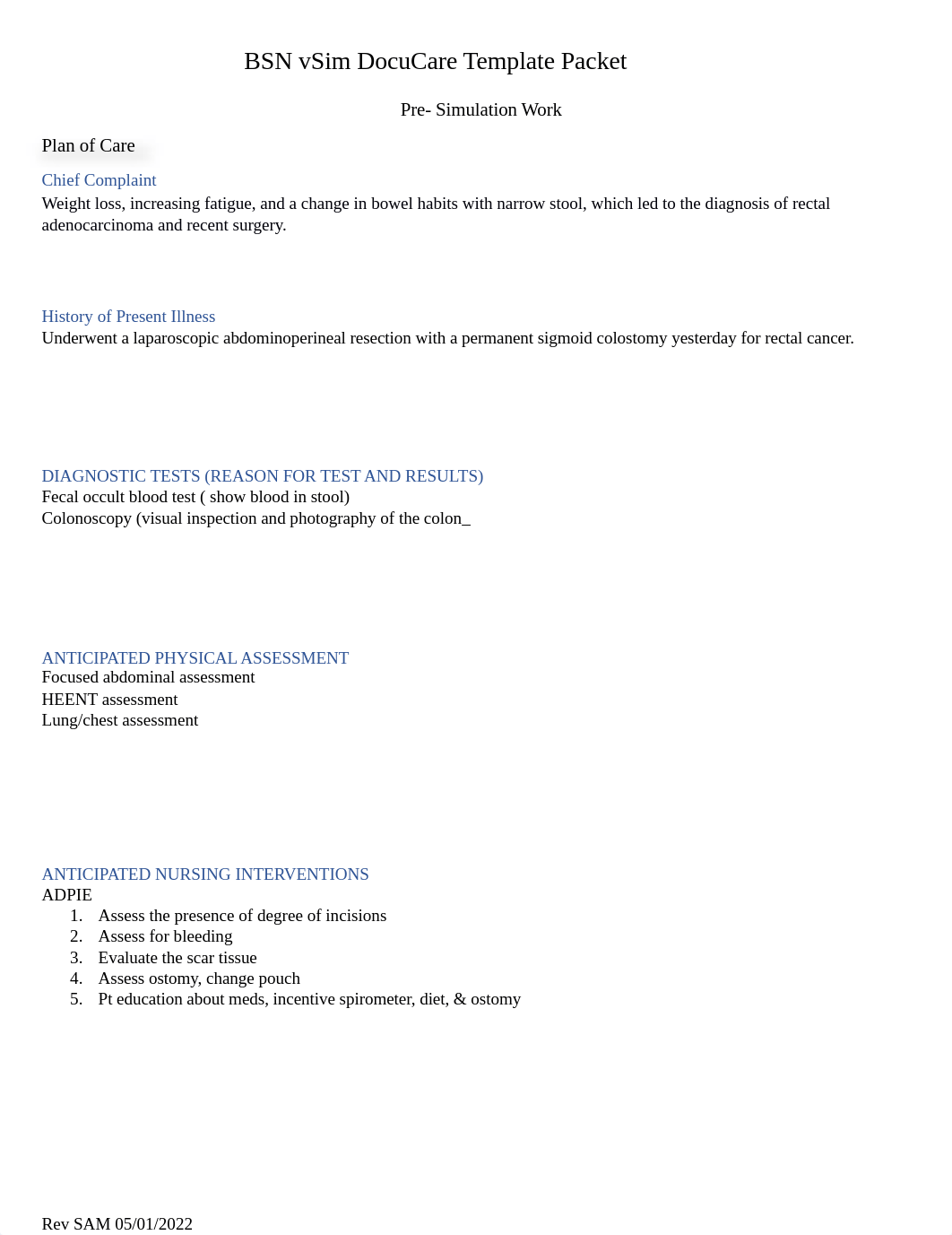 M. Hayes BSN vSim Docucare template packet 5.2022 (1) (1).docx_dg6h7o0ox1x_page1