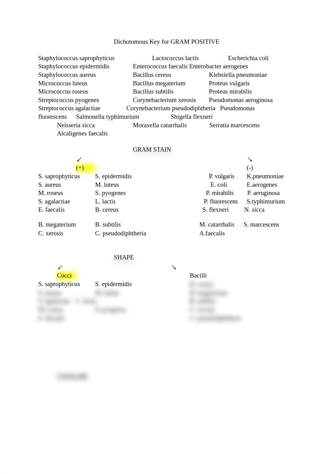 Dichotomous_Key_for_gram_POSITIVE_dg6l40vxerx_page1