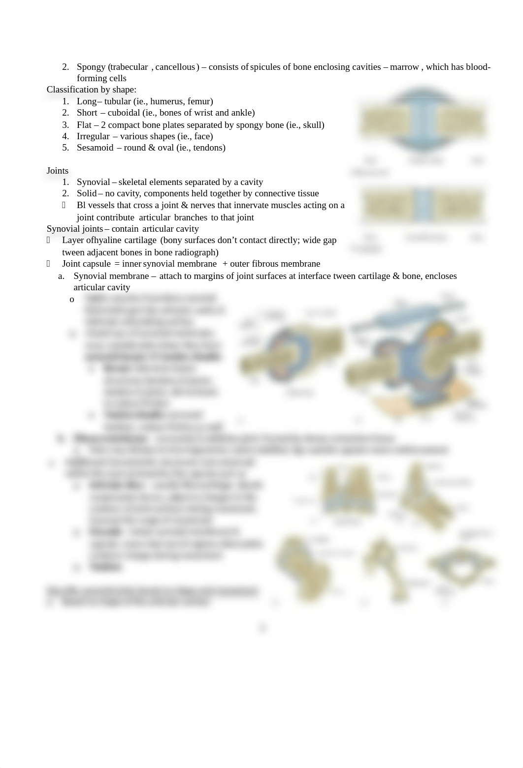 ****Gross exam 1, ch 1(1)_dg6mg8p5lkp_page2