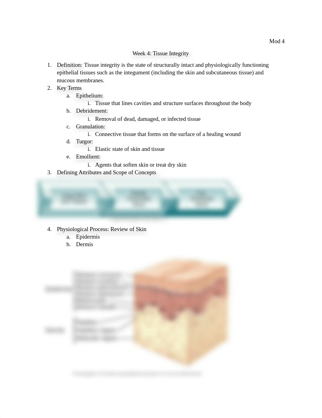 NCI Notes Tissue Integrity.docx_dg6nmq6g23p_page1