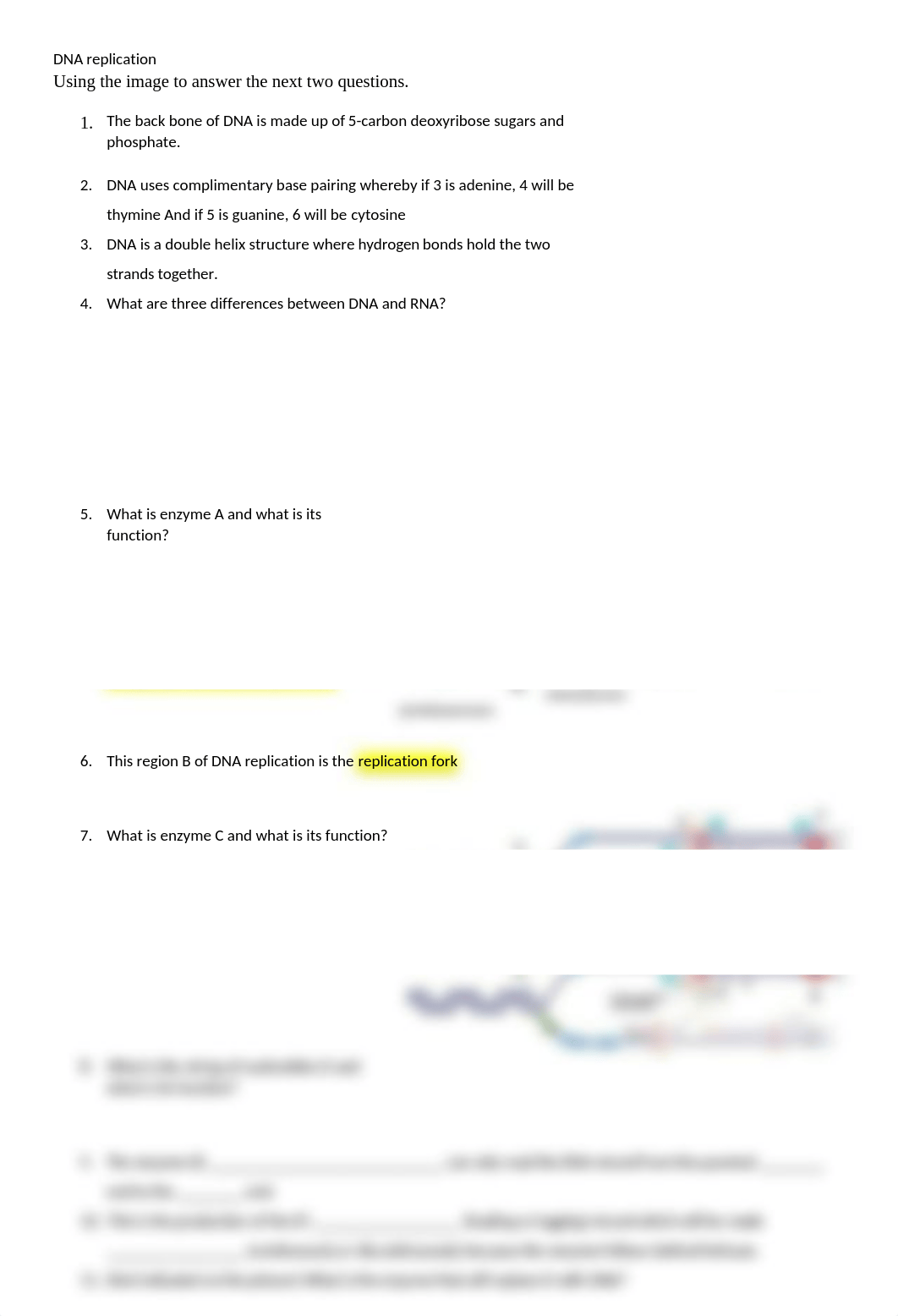 DNA Replication-1.docx_dg6nuyu220p_page1