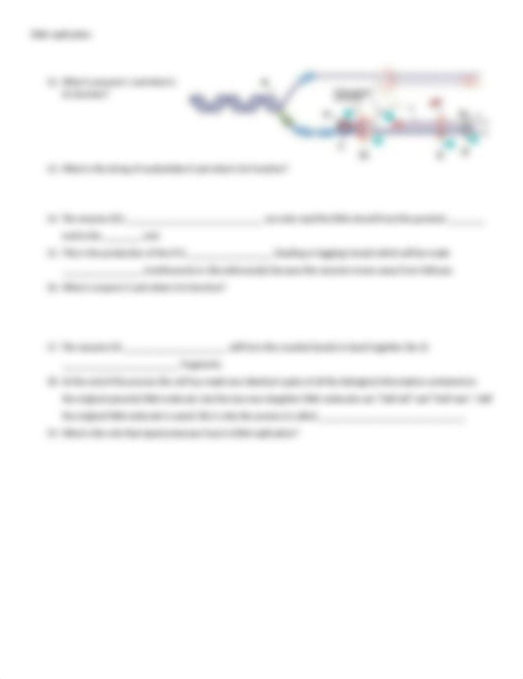 DNA Replication-1.docx_dg6nuyu220p_page2