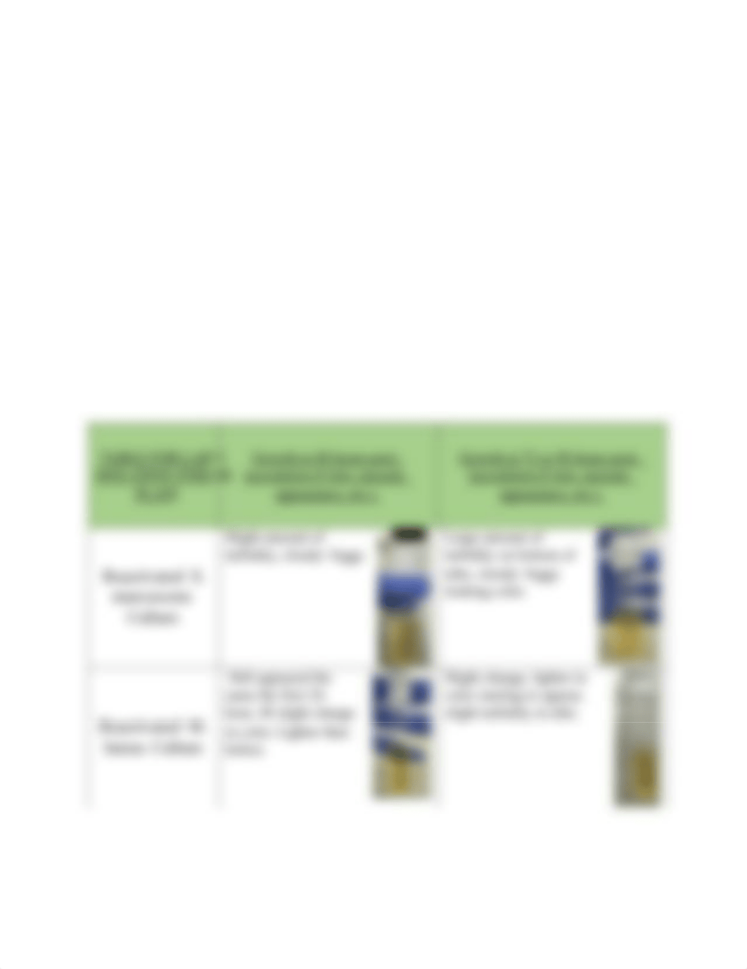 Lab 3 (Isolation Streak Plate) Tables and Questions (2).pdf_dg6yzp5duu2_page2