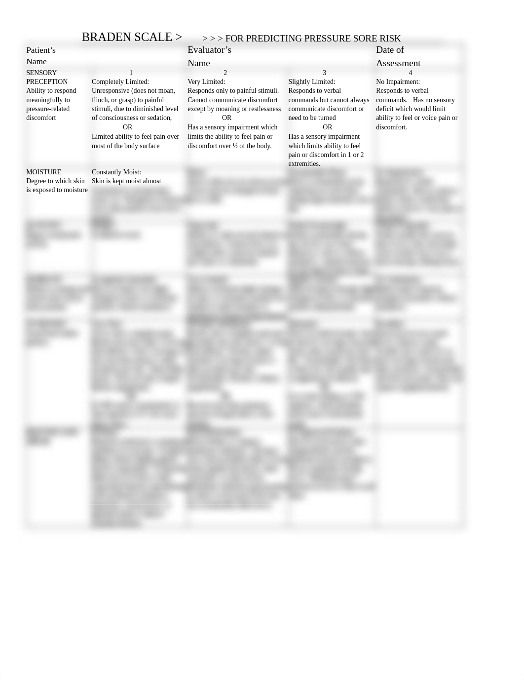 Braden Scale (4).rtf_dg6zx6akxn7_page1