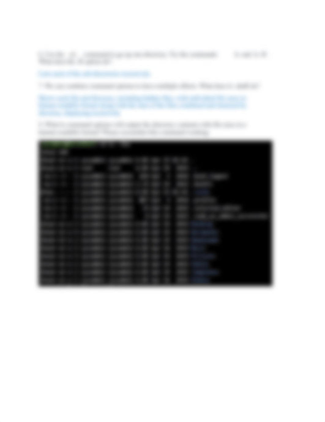 Command Line - ls.docx_dg701qujpyz_page2