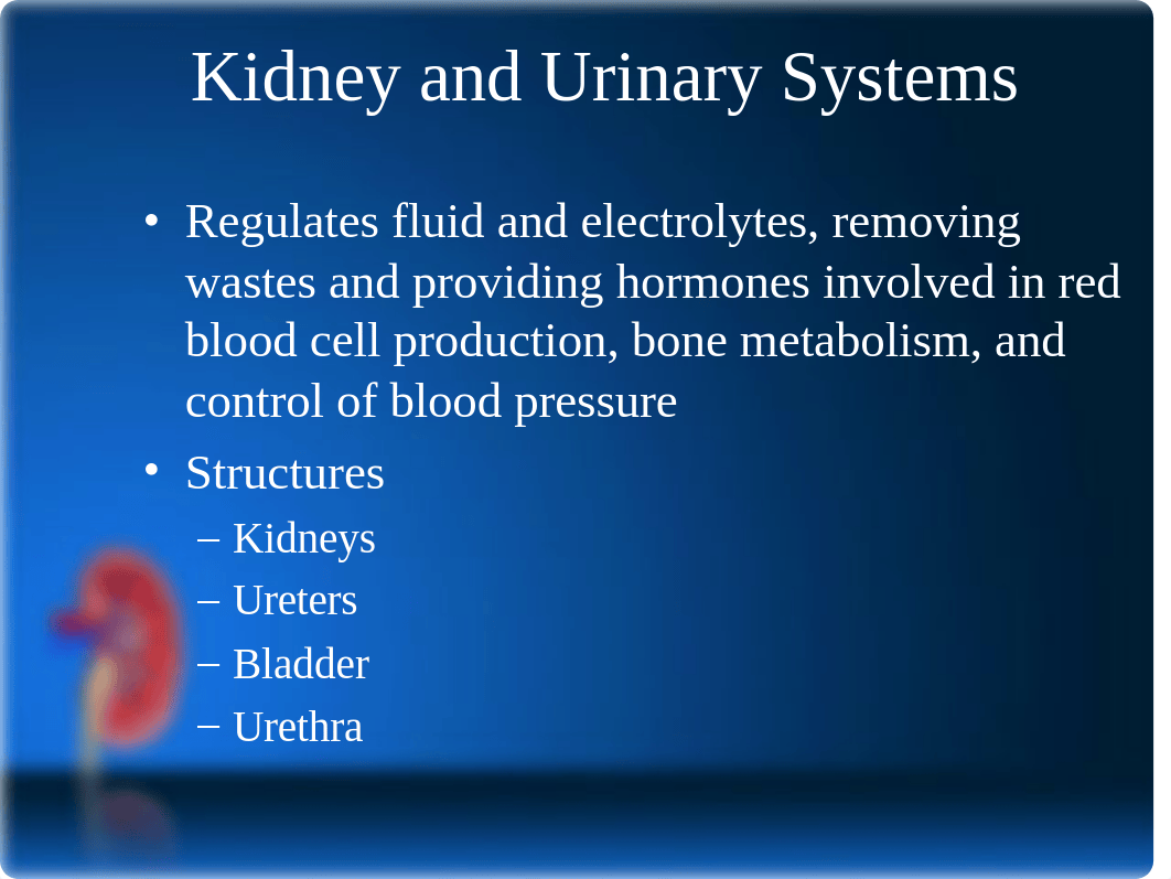 Alterations in Renal and Urinary Function LECTURE (1).ppt_dg79ry7shl4_page3