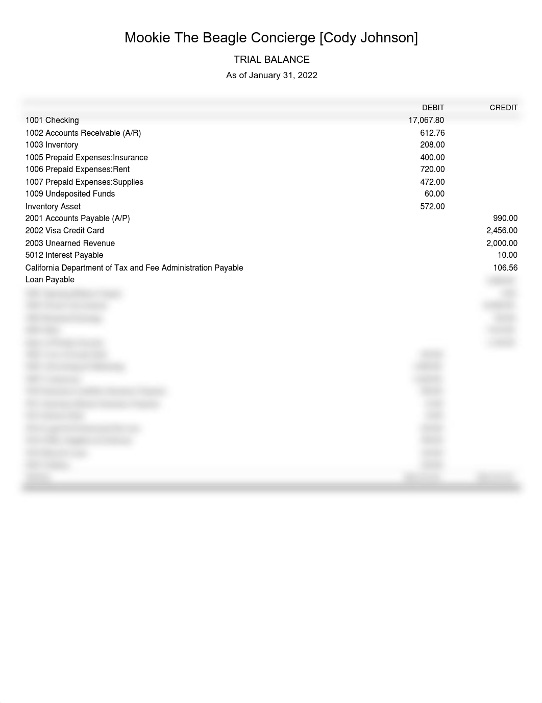 TrialBalance.pdf_dg7ns76oypk_page1