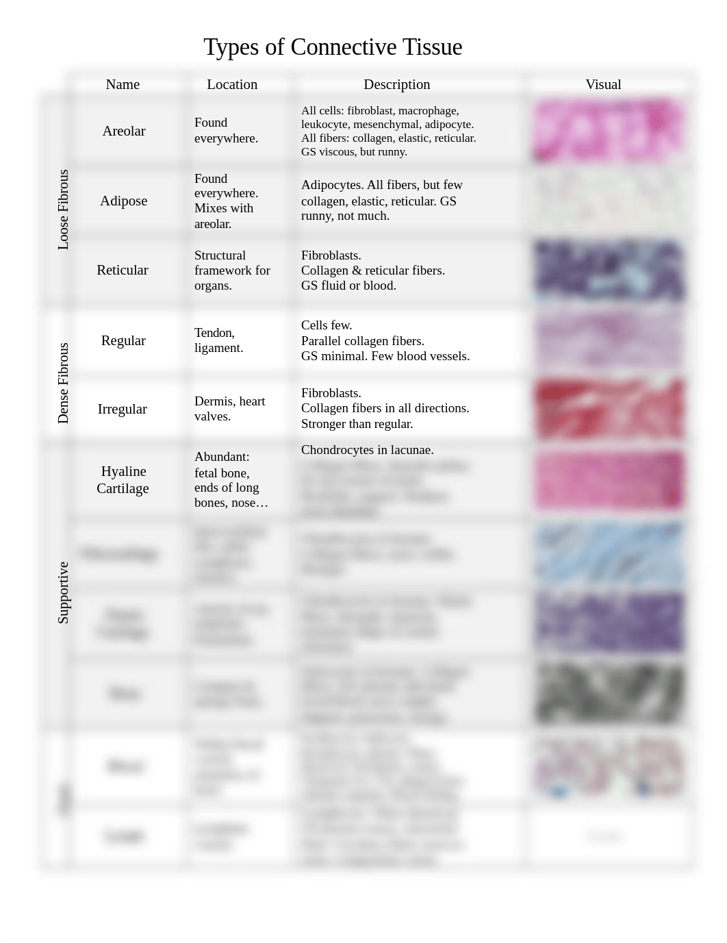 Connective_Tissue_Types Sp12_dg7o6e55kpm_page1