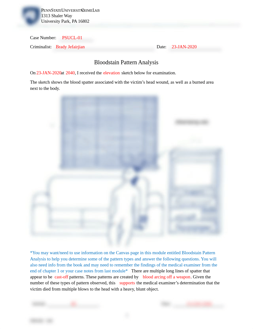 Case Notes - Bloodstain Pattern Analysis.docx_dg7zf871vg3_page1