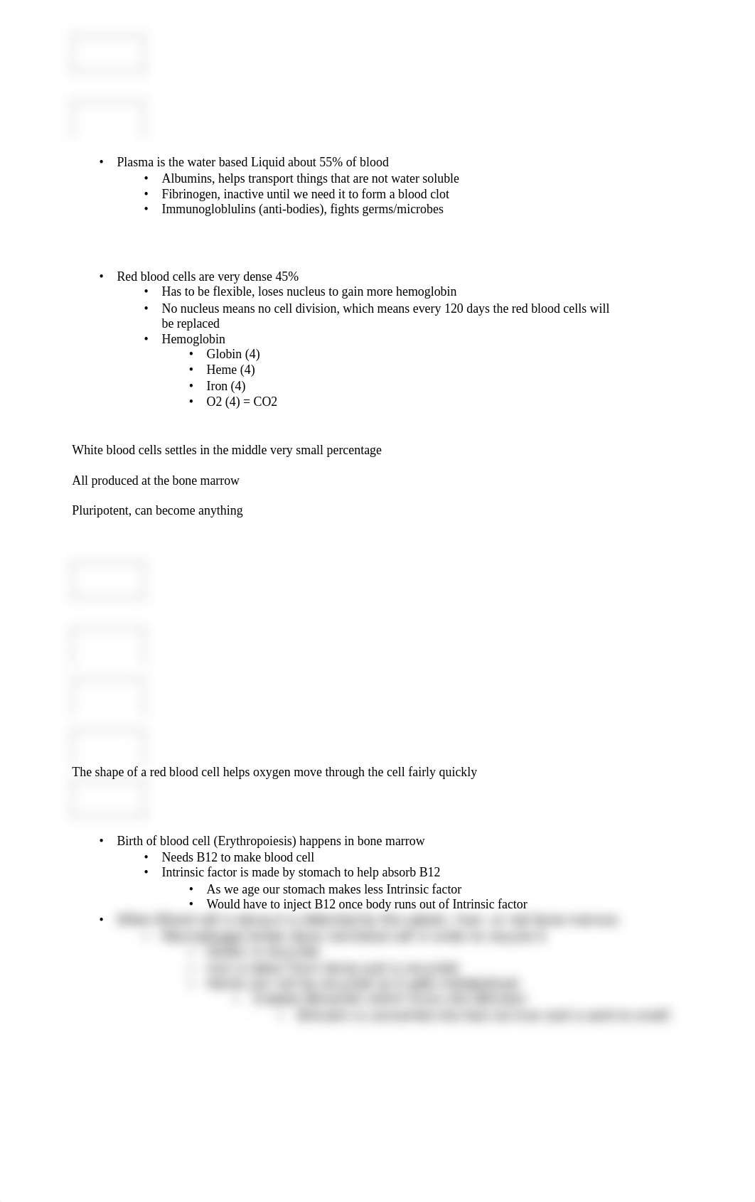 Ch 19 Cardiovascular System.enex.html_dg84epwp4ru_page1