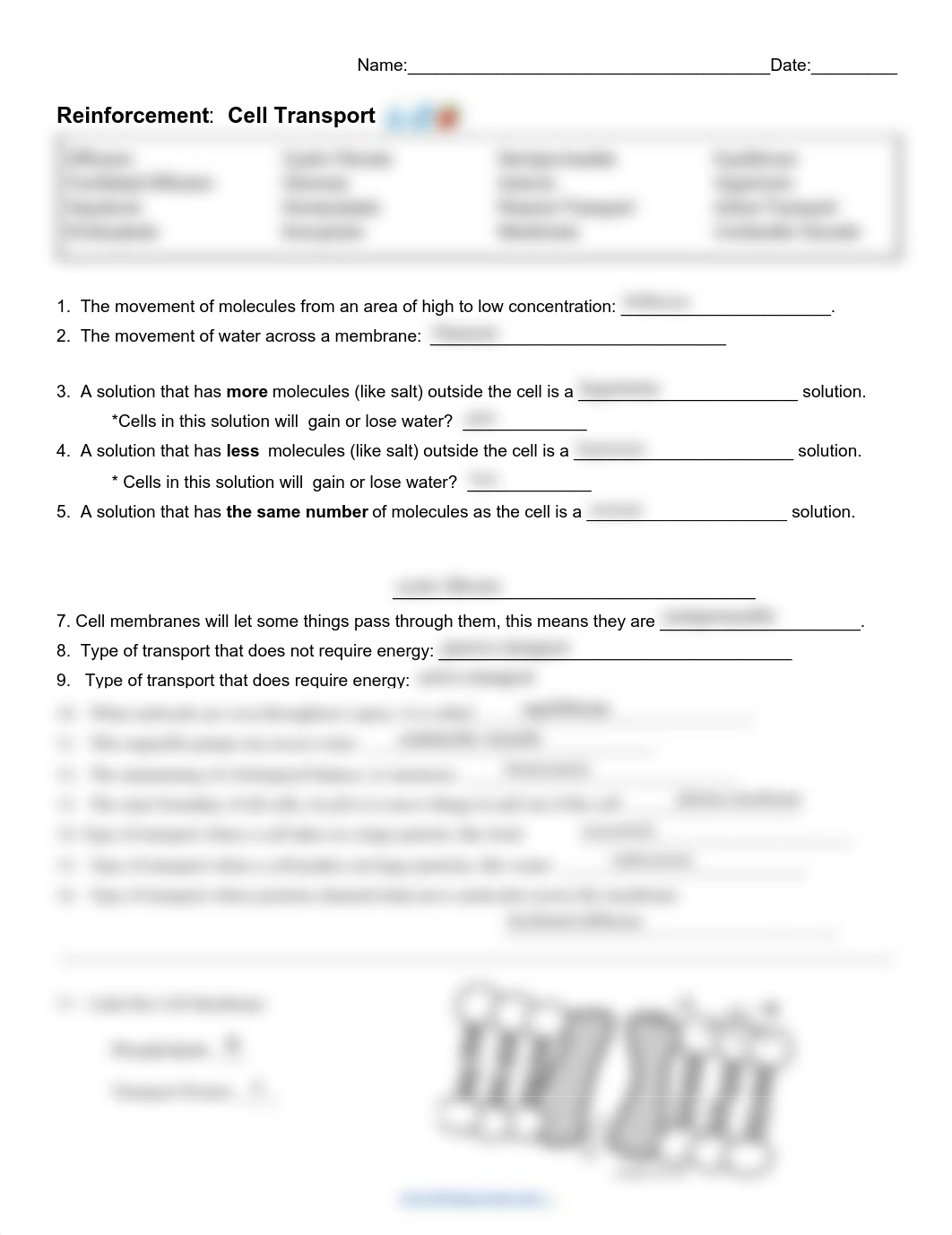 Reinforcement_ Cell Transport KAM.pdf_dg8j0nqqzs3_page1