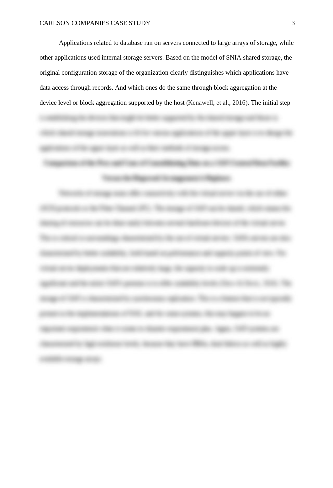 Carlson Companies Storage Solution Case Study.doc_dg9dh0d8hl2_page3