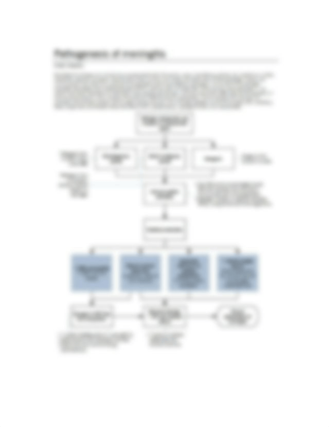 pathogensis of meningitis.docx_dga48991bcz_page1