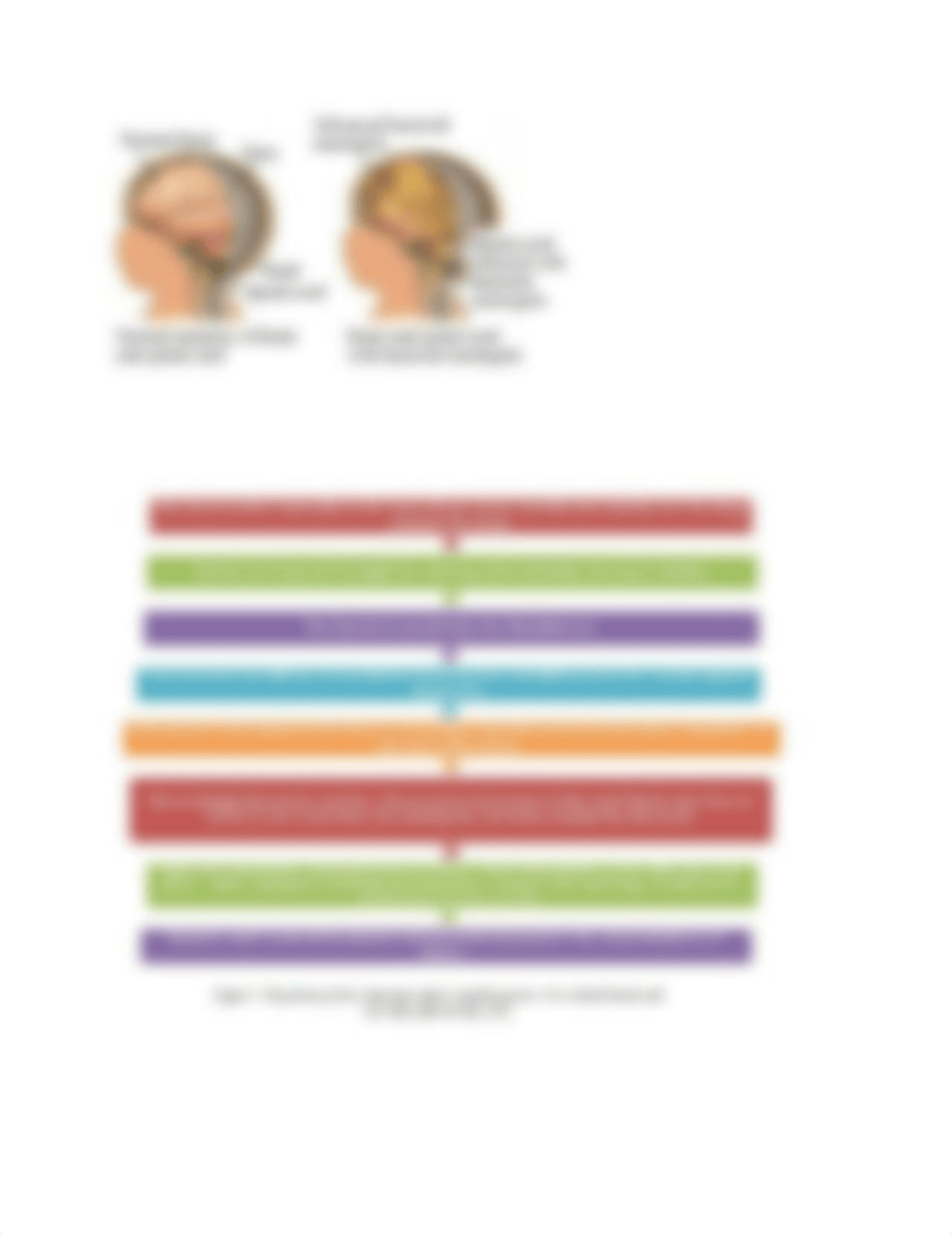 pathogensis of meningitis.docx_dga48991bcz_page2