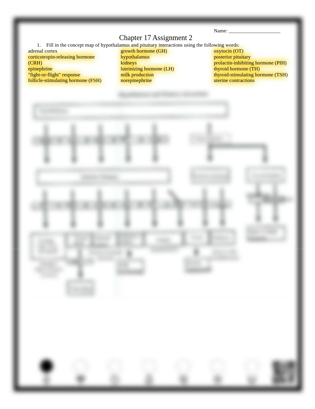 Chapter 17 Assignment 2.pdf_dga5qdp8u1w_page1