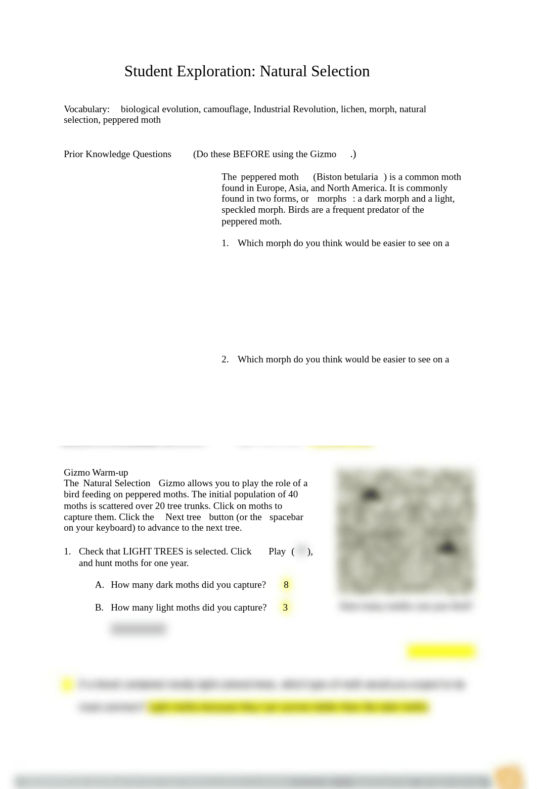 StudentExplorationNaturalSelectionBIO.docx_dgabp2gb9cs_page1