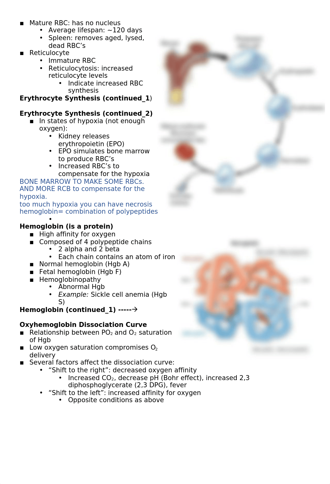 Hematologic Problems.docx_dgamchnq96g_page2