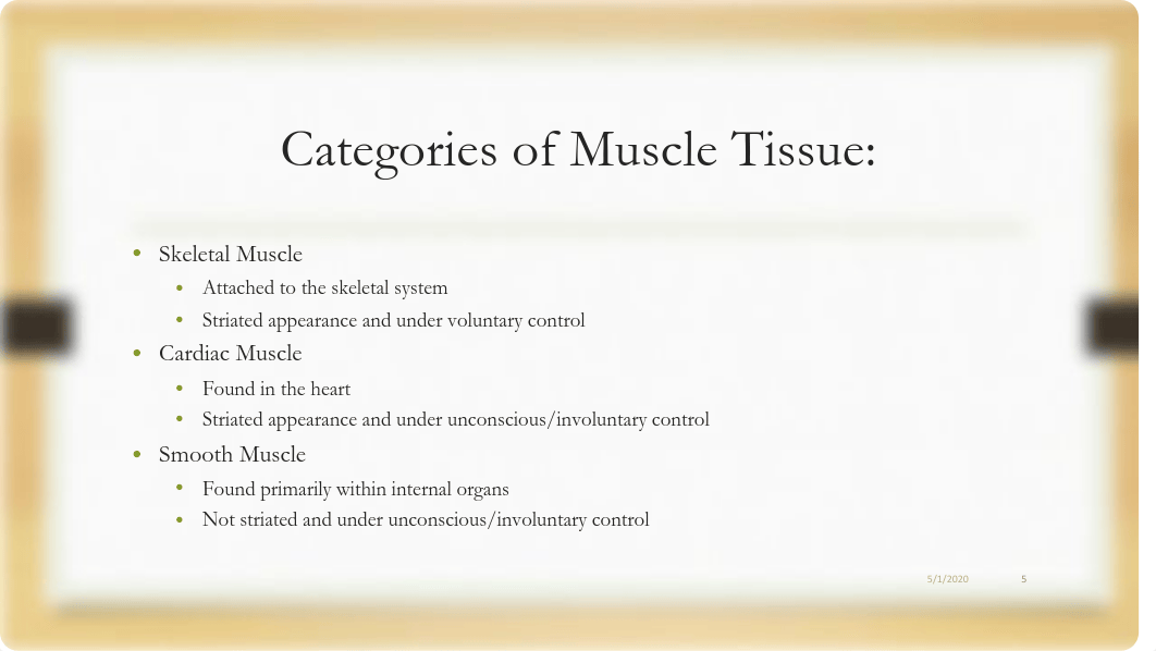 Module 04 Muscular System.pdf_dgap4va3c2x_page5