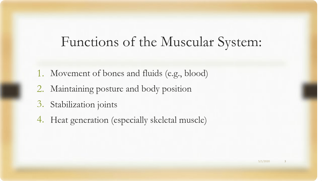 Module 04 Muscular System.pdf_dgap4va3c2x_page3