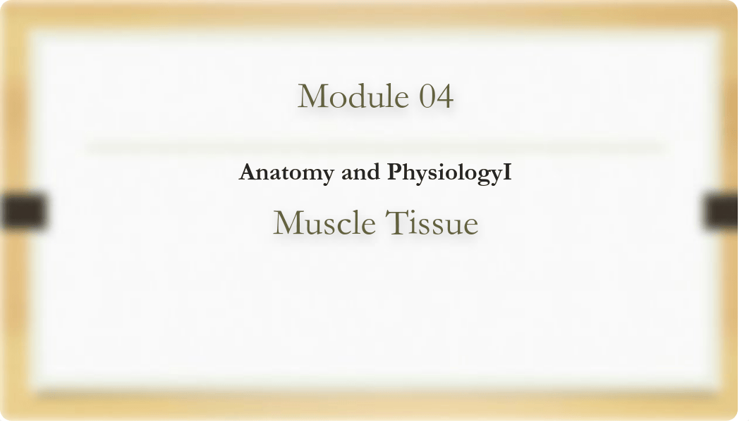 Module 04 Muscular System.pdf_dgap4va3c2x_page1