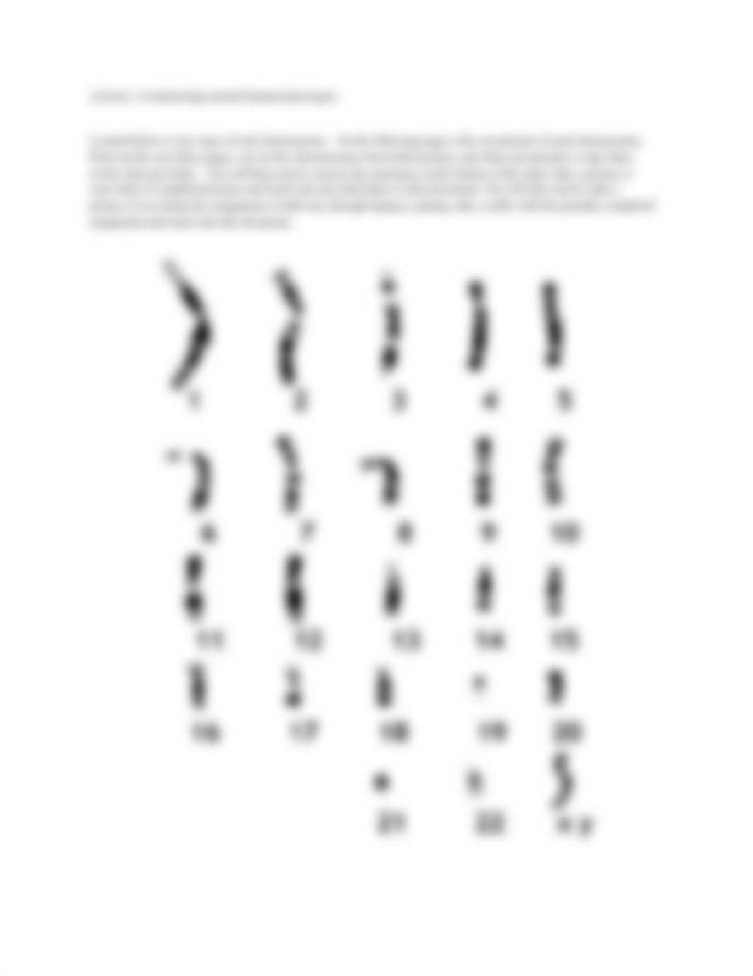 Lab 4 Chromosomes and Karyotyping.docx_dgaptt0jh03_page2